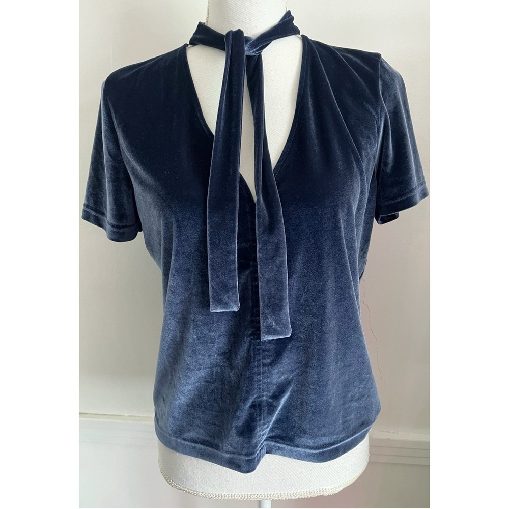 Madewell • Blue Velvet Tie Neck Blouse
